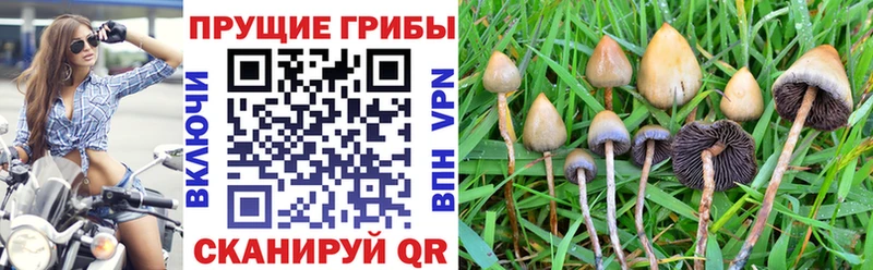 Псилоцибиновые грибы MAGIC MUSHROOMS Кстово