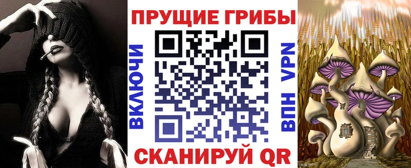 наркотики  Кстово  Галлюциногенные грибы Magic Shrooms 